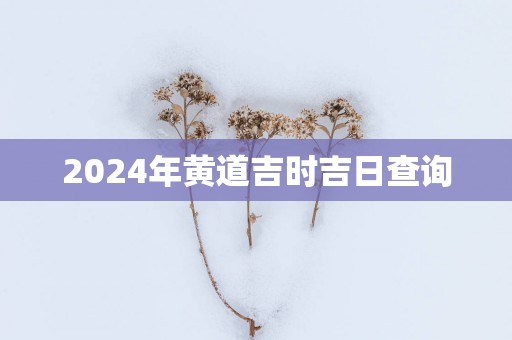 2025年黄道吉时吉日查询