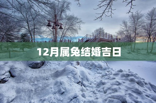 12月属兔结婚吉日