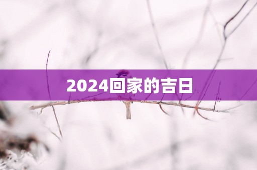 2025回家的吉日