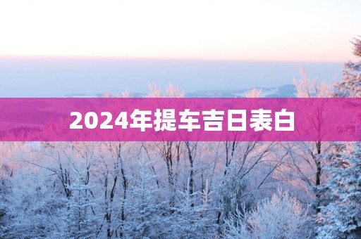 2025年提车吉日表白