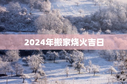 2025年搬家烧火吉日
