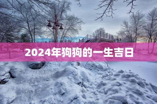 2025年狗狗的一生吉日