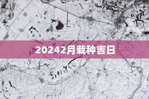 20252月栽种吉日