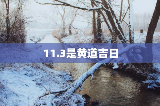 11.3是黄道吉日