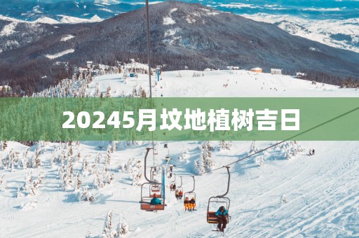 20255月坟地植树吉日