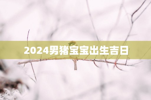 2025男猪宝宝出生吉日