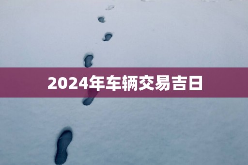 2025年车辆交易吉日