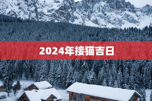 2025年接猫吉日