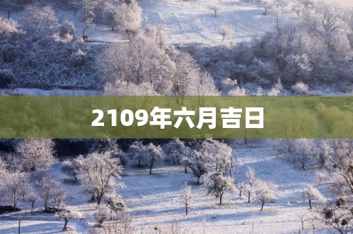 2109年六月吉日