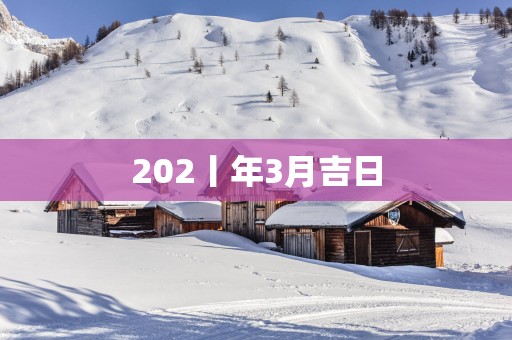 202丨年3月吉日 202丨年3月吉日