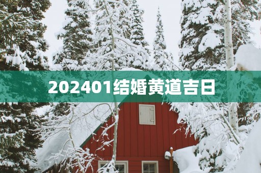 202501结婚黄道吉日
