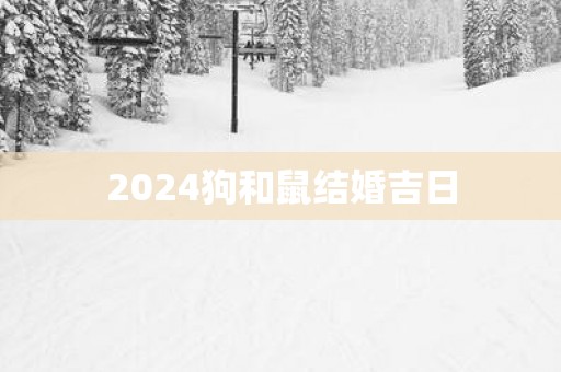 2025狗和鼠结婚吉日