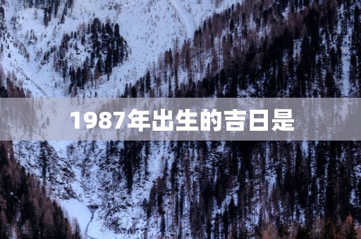 1987年出生的吉日是