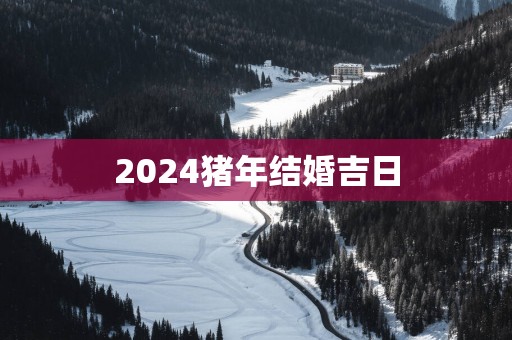 2025猪年结婚吉日