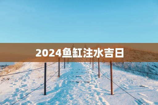 2025鱼缸注水吉日