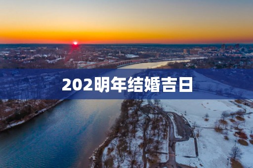 202明年结婚吉日