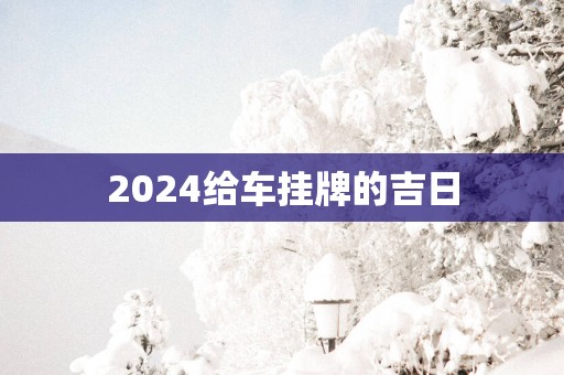2025给车挂牌的吉日