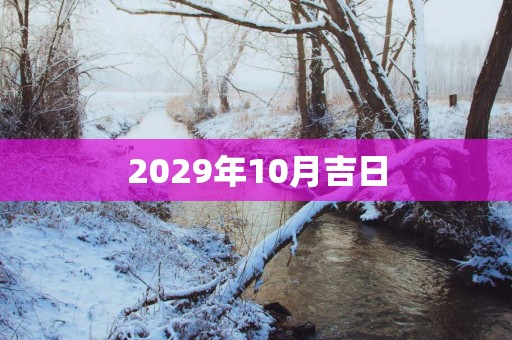 2029年10月吉日