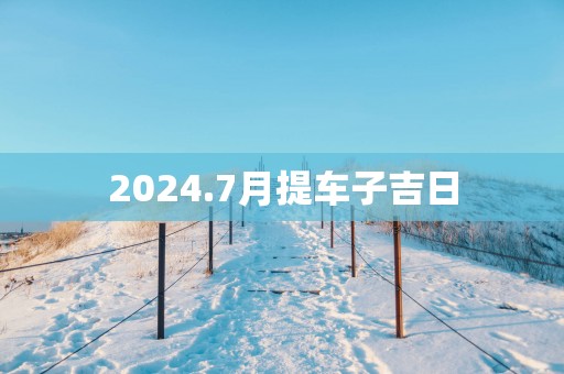 2025.7月提车子吉日