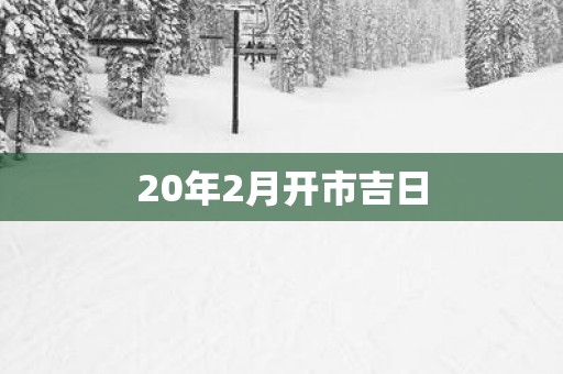 20年2月开市吉日