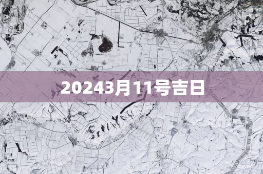 20253月11号吉日