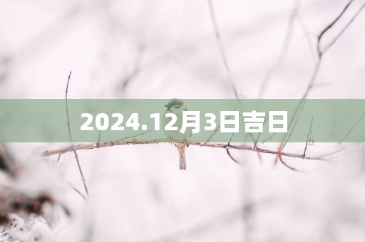 2025.12月3日吉日