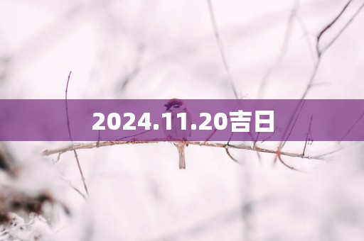 2025.11.20吉日