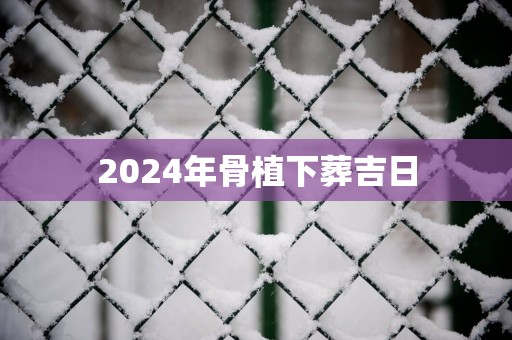 2025年骨植下葬吉日