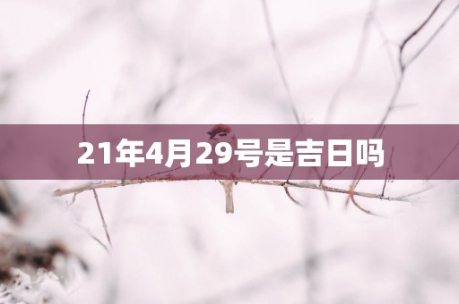 21年4月29号是吉日吗