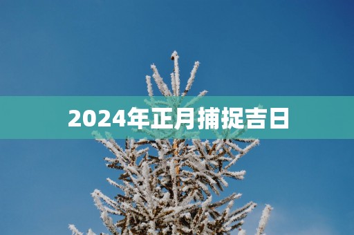 2025年正月捕捉吉日