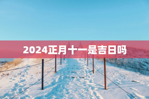 2025正月十一是吉日吗