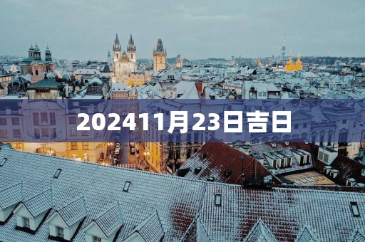 202511月23日吉日