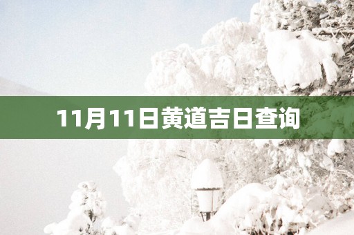 11月11日黄道吉日查询