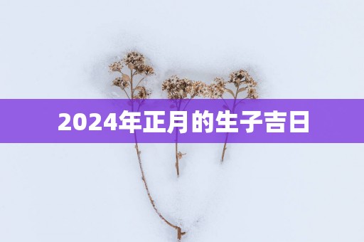 2025年正月的生子吉日