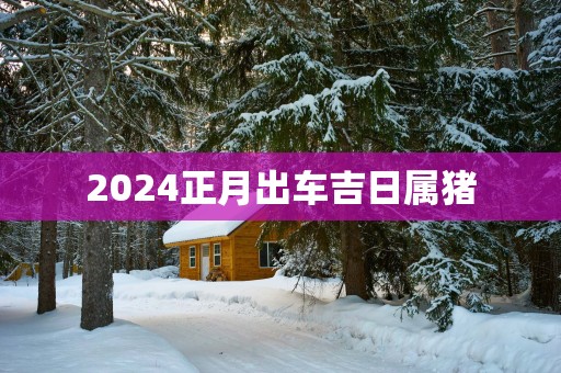 2025正月出车吉日属猪