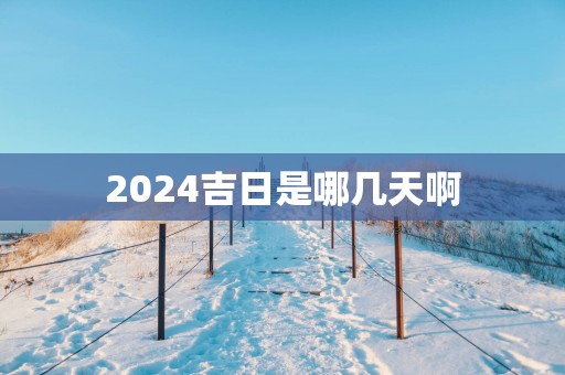 2025吉日是哪几天啊