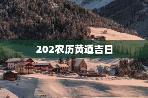 202农历黄道吉日