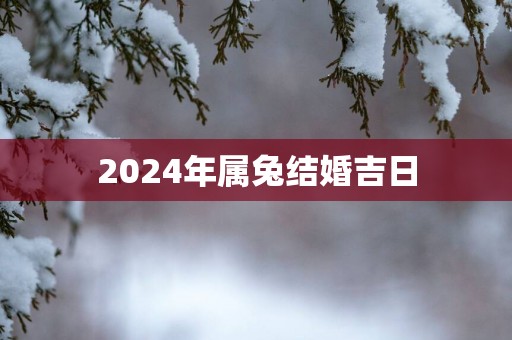 2025年属兔结婚吉日