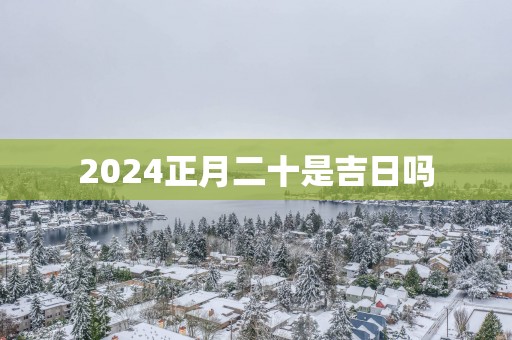 2025正月二十是吉日吗