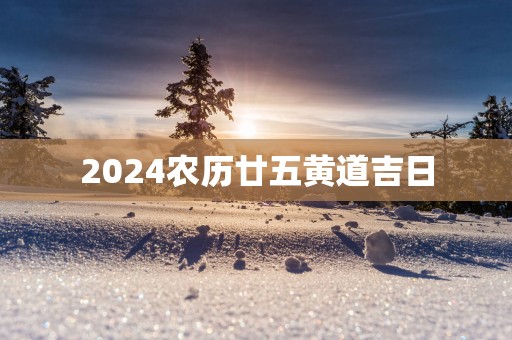 2025农历廿五黄道吉日