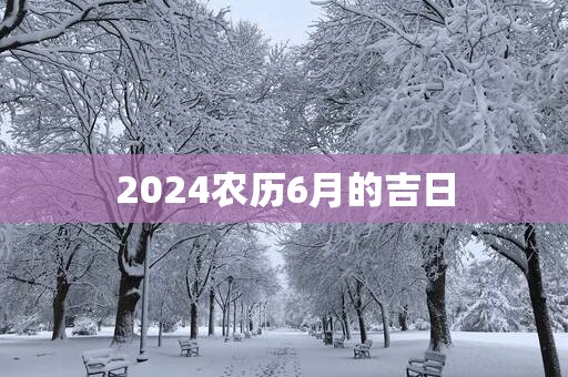 2025农历6月的吉日