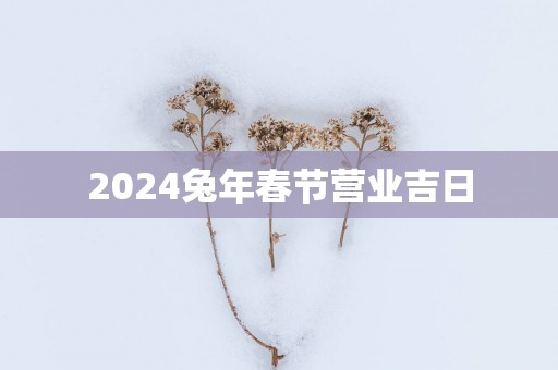 2025蛇年春节营业吉日