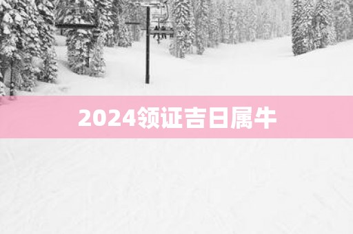 2025领证吉日属牛