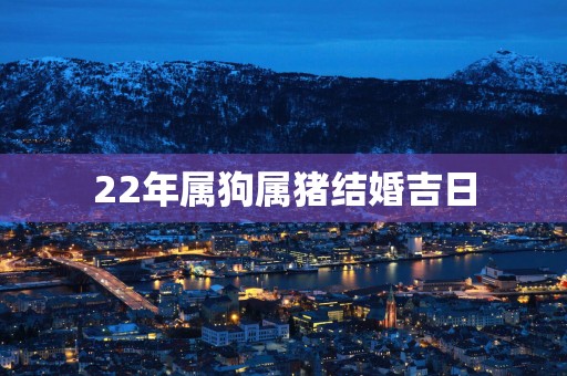 22年属狗属猪结婚吉日