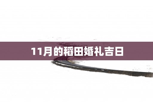 11月的稻田婚礼吉日