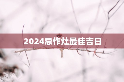 2025忌作灶最佳吉日