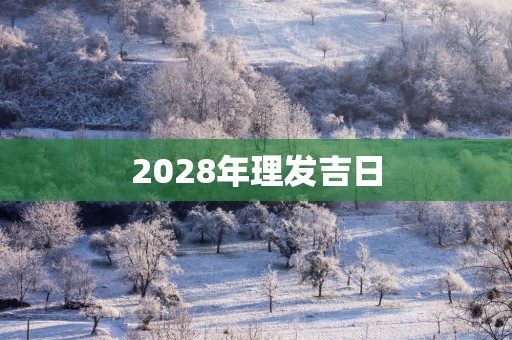 2028年理发吉日
