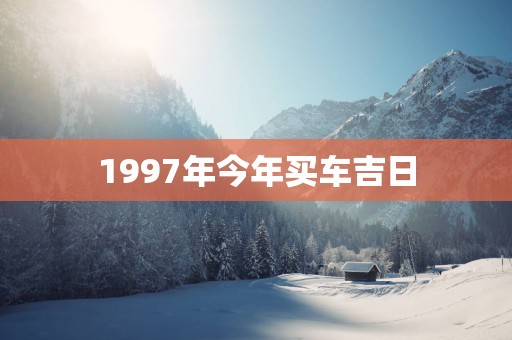 1997年今年买车吉日