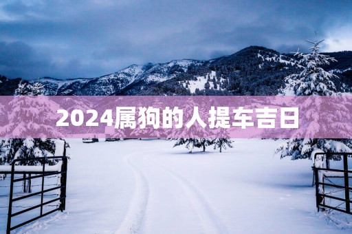2025属狗的人提车吉日