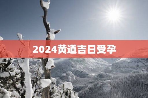2025黄道吉日受孕